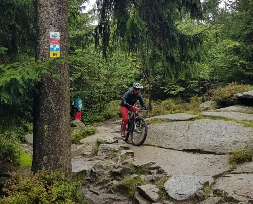 DIMB Mountainbike Reutlingen Tübingen
