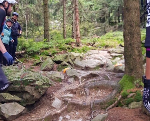 DIMB Mountainbike Reutlingen Tübingen