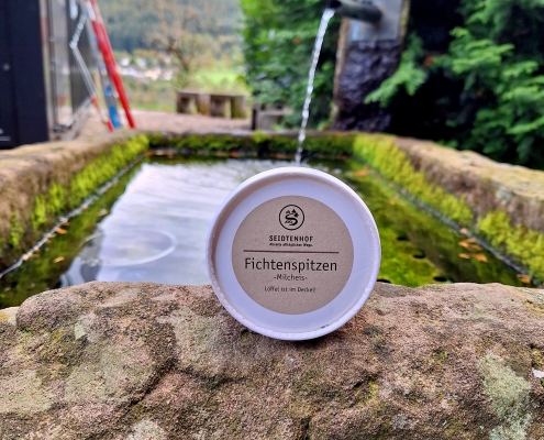 geführte Mountainbike Tour Baiersbronn