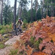 DIMB Mountainbike Reutlingen Tübingen