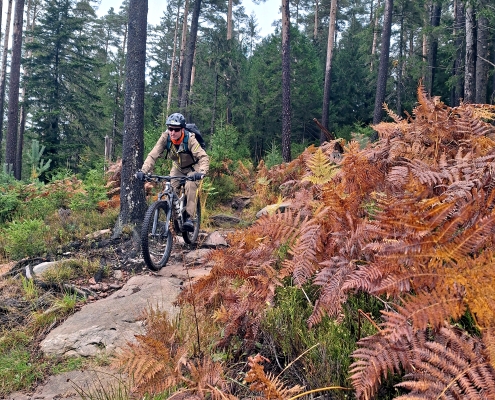 DIMB Mountainbike Reutlingen Tübingen