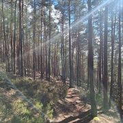 Trail Camp Pfälzerwald 2024