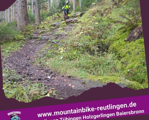 DIMB Mountainbike Reutlingen Tübingen