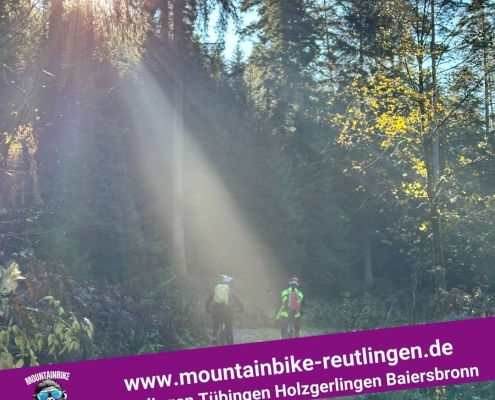 Forst und Mountainbike