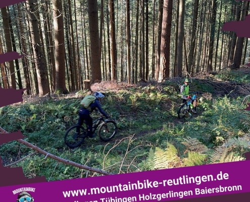 Forst und Mountainbiker